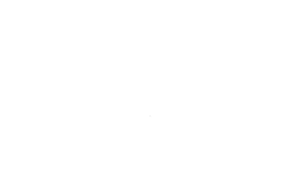 zug_seite